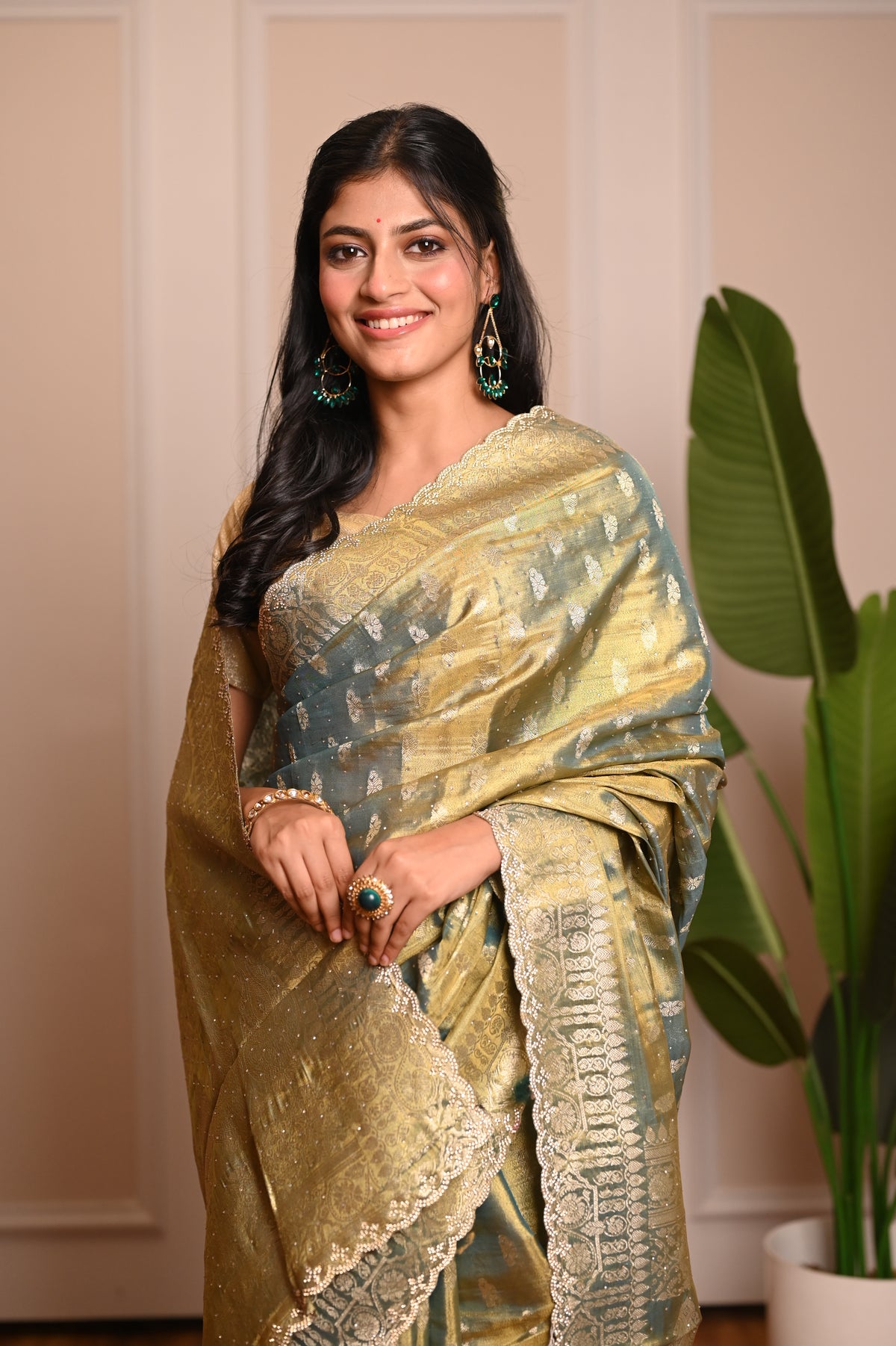 Nevash Sheer Festive Organza Saree