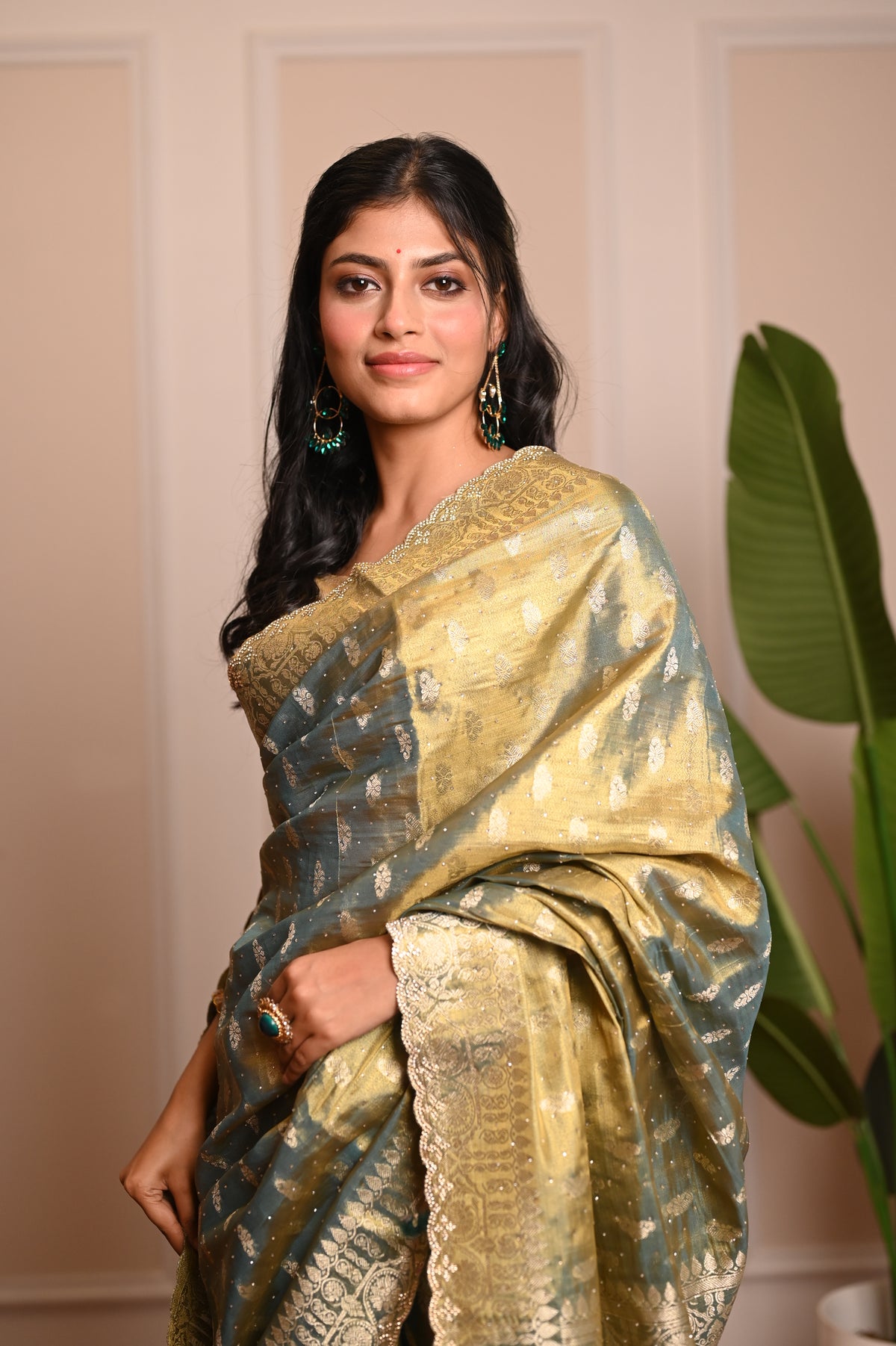 Nevash Sheer Festive Organza Saree