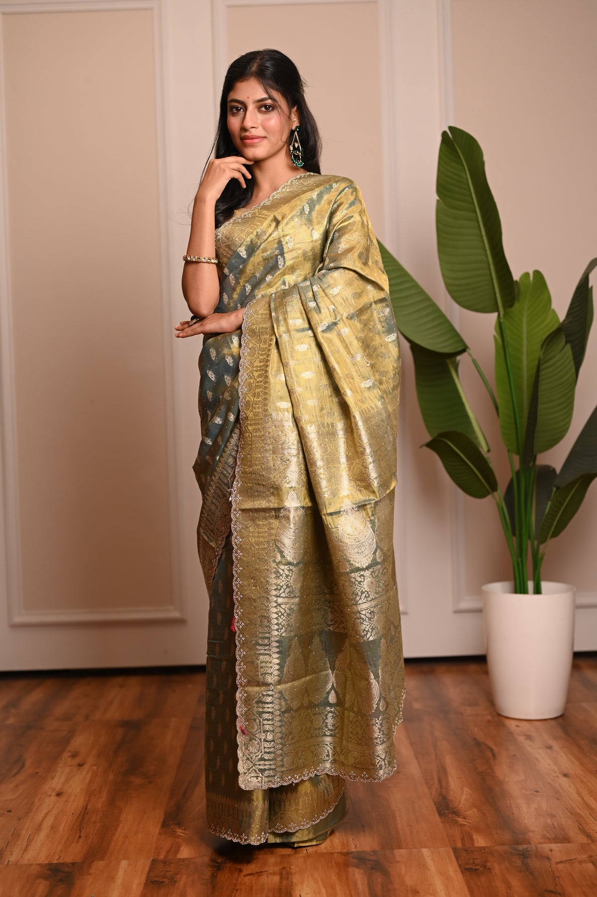 Nevash Sheer Festive Organza Saree