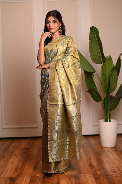 Nevash Sheer Festive Organza Saree