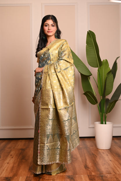 Nevash Sheer Festive Organza Saree