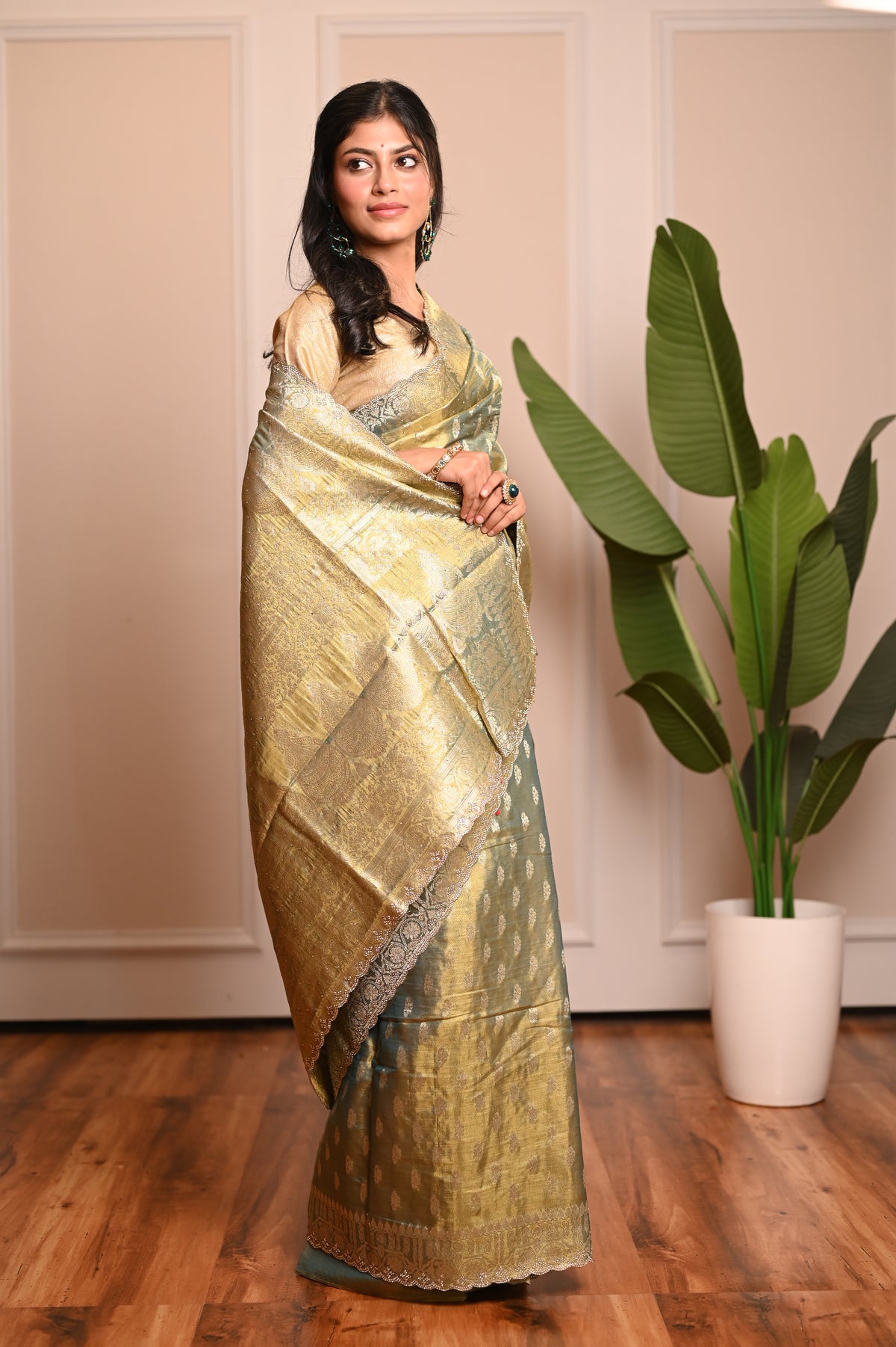 Nevash Sheer Festive Organza Saree