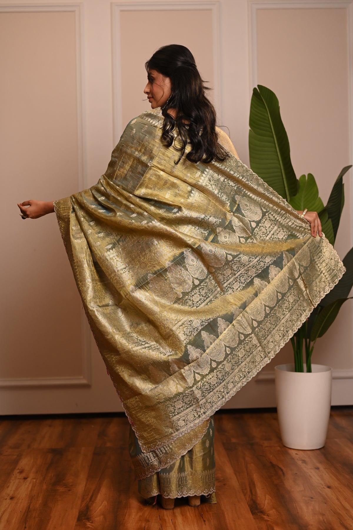 Nevash Sheer Festive Organza Saree