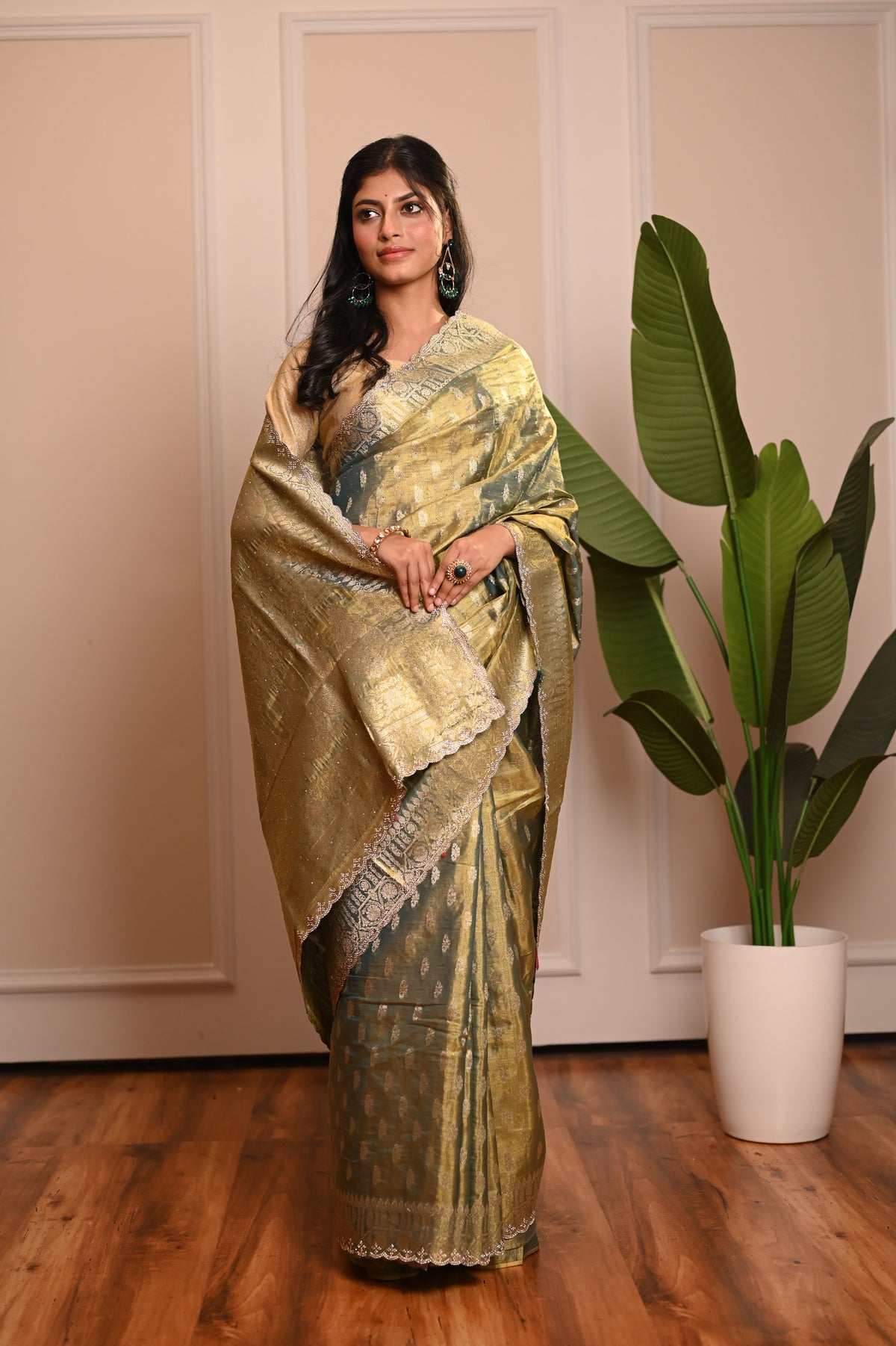 Nevash Sheer Festive Organza Saree
