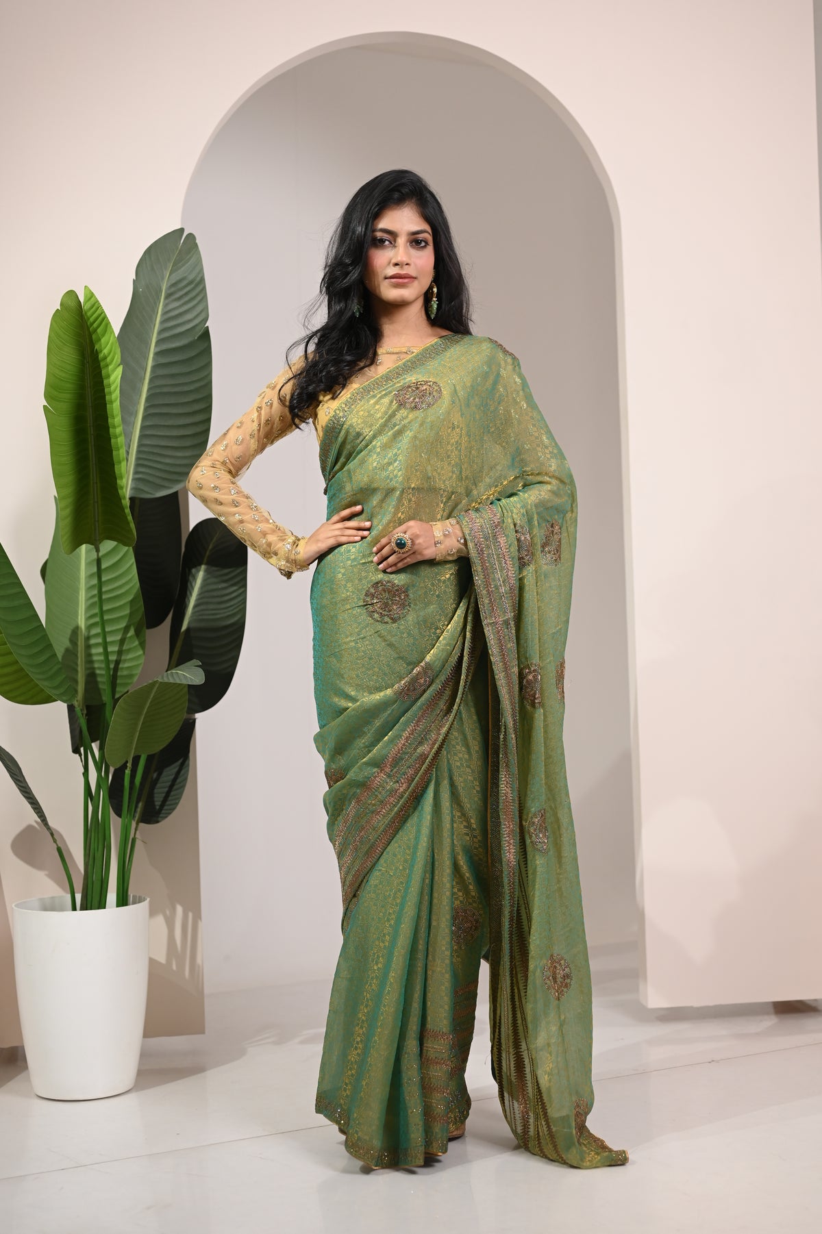 Nevash Pinta Zarkan Heavy Handwork Saree