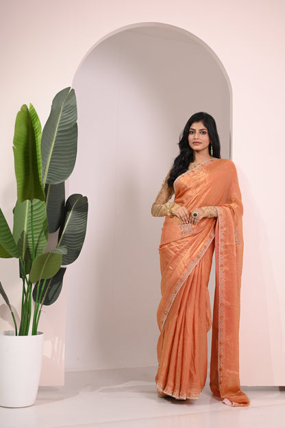 Nevash Fashion Hand Stone Embellished Saree