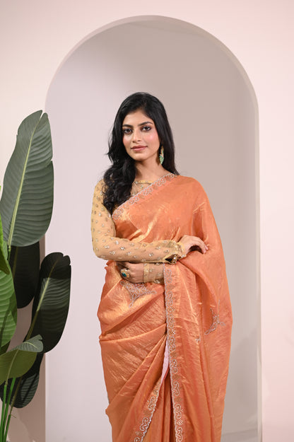 Nevash Fashion Hand Stone Embellished Saree