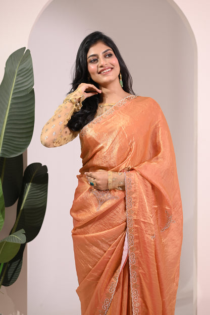 Nevash Fashion Hand Stone Embellished Saree