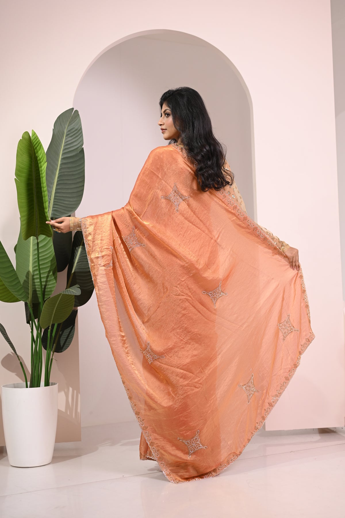 Nevash Fashion Hand Stone Embellished Saree