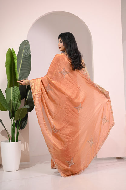 Nevash Fashion Hand Stone Embellished Saree