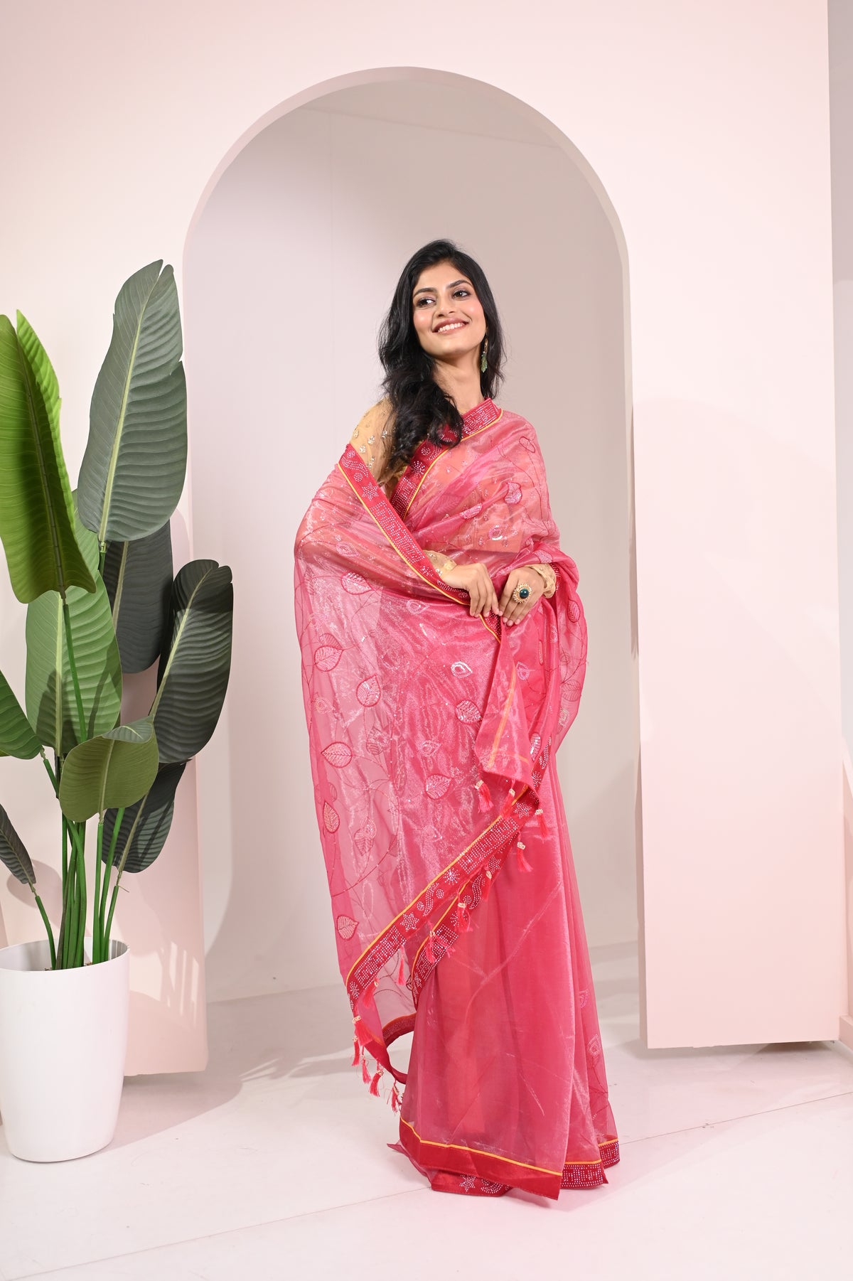 Nevash Twill Net Embroidered Saree