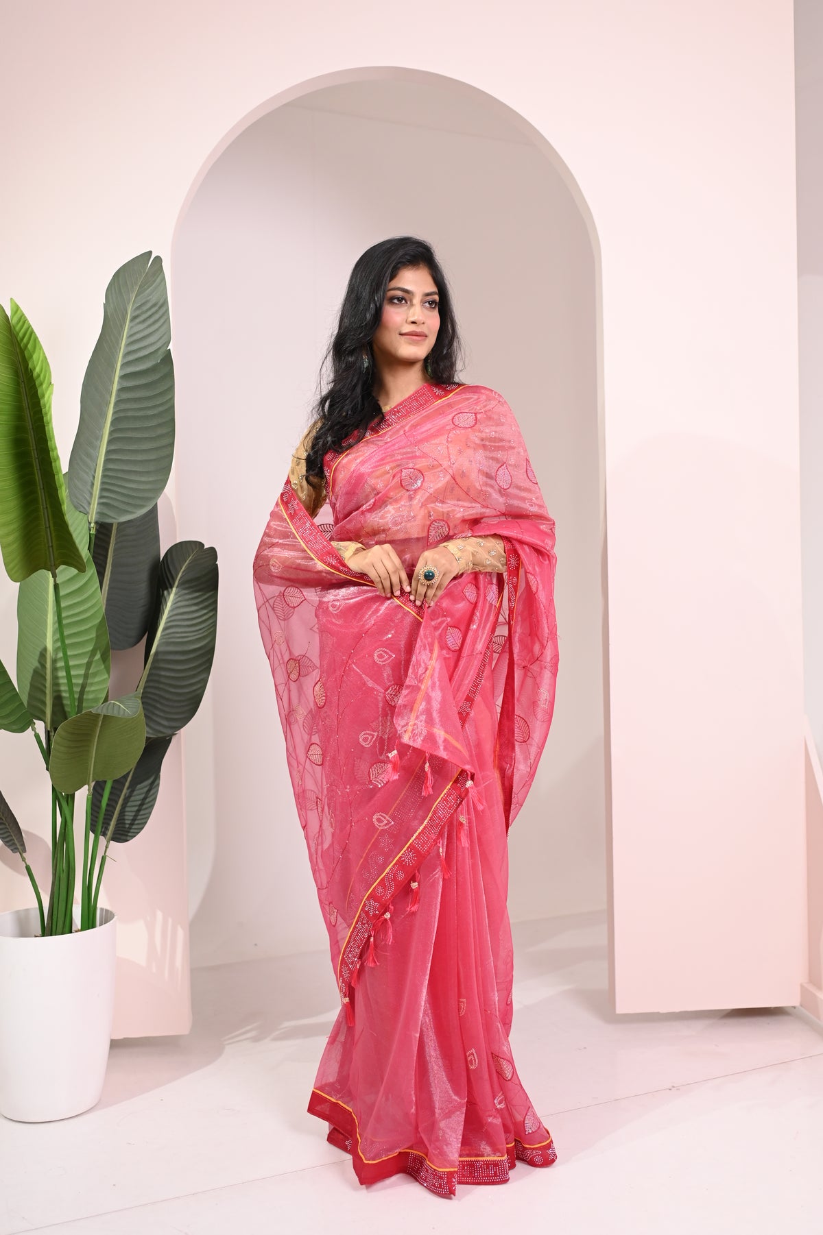 Nevash Twill Net Embroidered Saree
