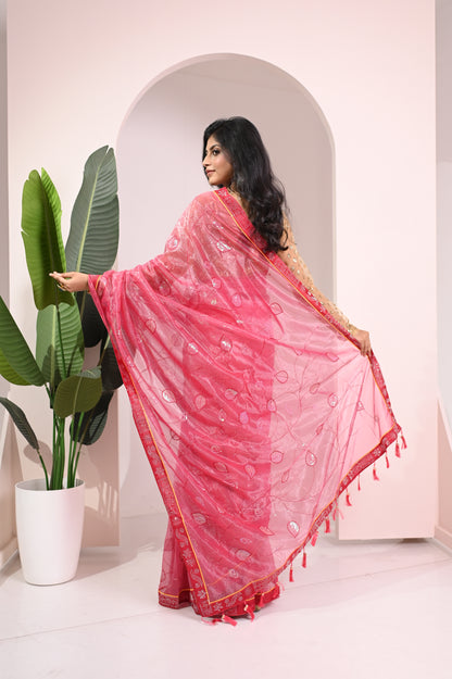 Nevash Twill Net Embroidered Saree