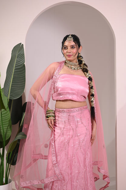 Nevash Pastel Flared Georgette Lehenga Choli Set