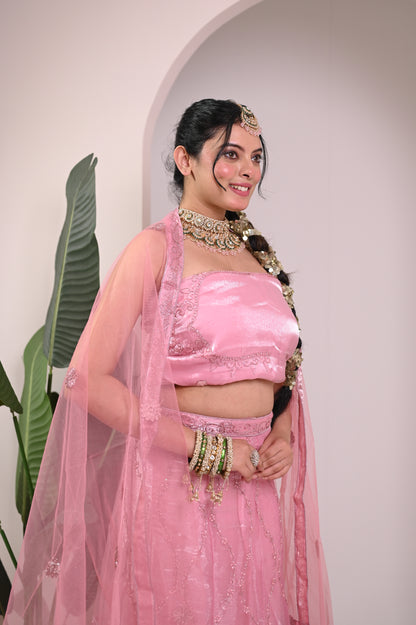 Nevash Pastel Flared Georgette Lehenga Choli Set