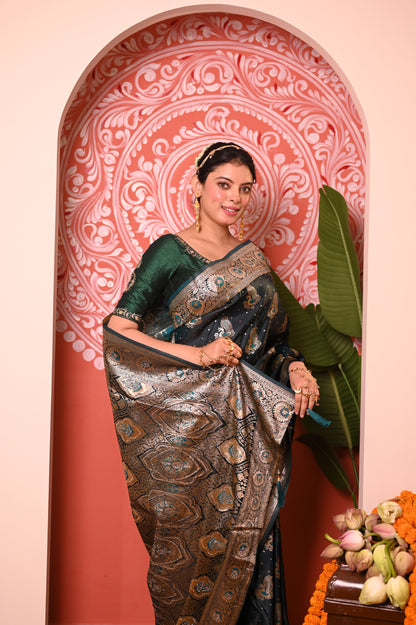 Nevash Zarqan Crystal Satin Saree